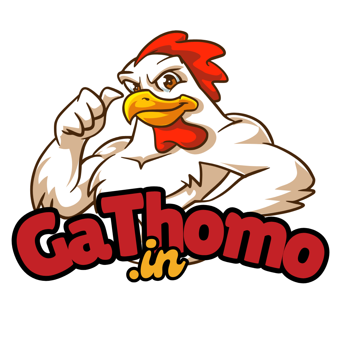 GÀ THOMO | Trực Tiếp Đá Gà - Cập Nhật Nhanh Nhất | Gà Thomo