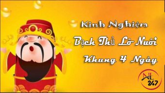 Bạc thủ lô nuôi khung 4 ngày Bạc thủ lô nuôi khung 4 ngày