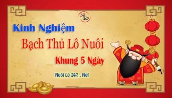 Lô bạch thủ nuôi khung 5 ngày Lô bạch thủ nuôi khung 5 ngày