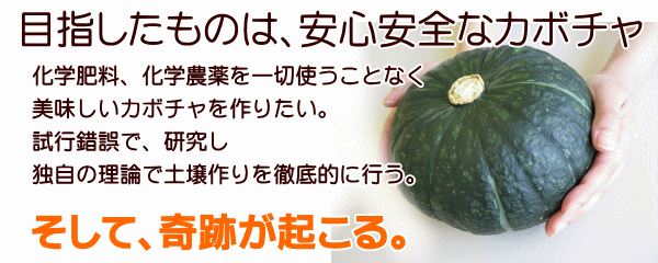 北海道森町　くりりん　かぼちゃ　安心安全の有機栽培