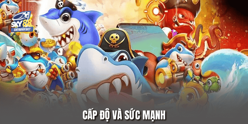 Cấp độ và sức mạnh