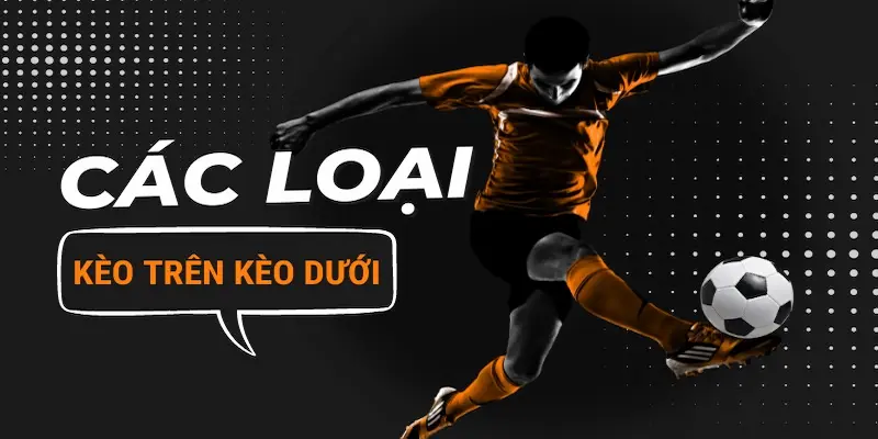 Khám phá một số tỷ lệ kèo trên dưới phổ biến
