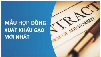Mẫu hợp đồng xuất khẩu gạo chuẩn pháp lý và đầy đủ nhất