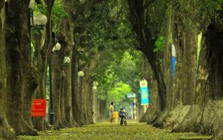 Địa điểm chụp hình đẹp tại Hà Nội