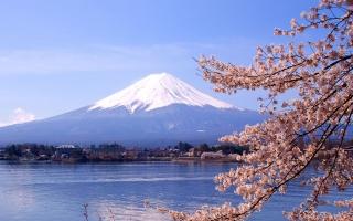 Thiên đường mua sắm nổi bật nhất tại Tokyo Nhật Bản