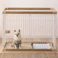 Cửa hàng bán phụ kiện cho thú cưng tại Hà Nội
