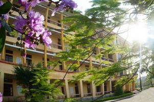 Trường tiểu học tốt nhất tỉnh Quảng Ninh