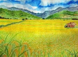 Bài văn phân tích bức tranh thiên nhiên trong bài 