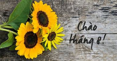 Bài thơ hay về tháng tám