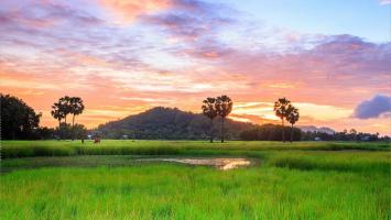 Bài thơ hay nhất viết về quê hương