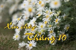 Bài thơ hay về tháng 10
