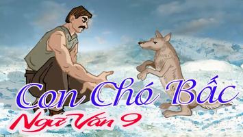 Bài văn phân tích đoạn trích 