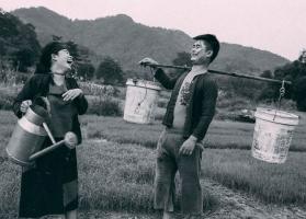Bài văn phân tích quá trình hồi sinh của Chí Phèo trong tác phẩm Chí Phèo (Nam Cao)