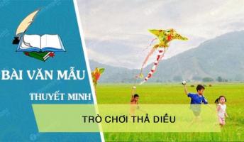 Bài văn thuyết minh về trò chơi thả diều (lớp 8) hay nhất