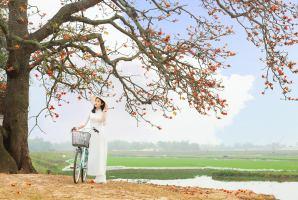 Tản văn viết về cô đơn hay nhất