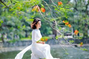 Tản văn viết về tháng sáu hay nhất