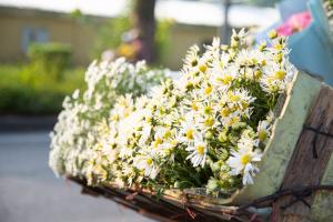 Tản văn viết về tháng 11 hay nhất