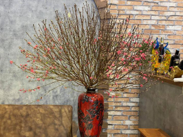Bí quyết để có cây đào/cành đào đẹp chơi Tết