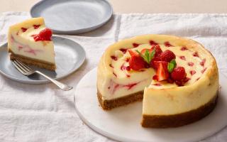 Địa chỉ ăn cheese cake ngon nhất tại Đà Nẵng