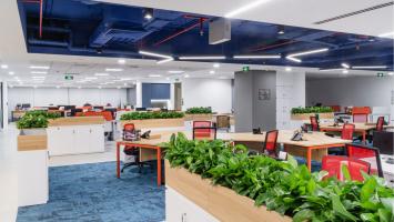 Dịch vụ cho thuê cây cảnh, cây xanh văn phòng uy tín nhất tại TP.HCM