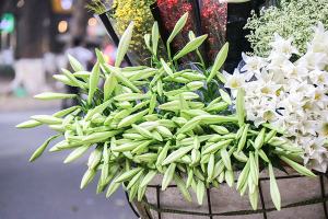 Bài thơ viết về tháng tư hay nhất