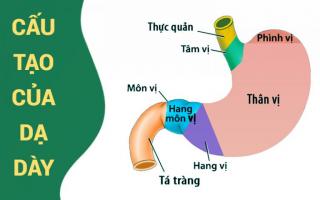 Loại lá vườn nhà trị đau dạ dày hiệu quả nhất