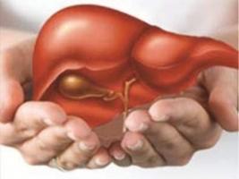 Sản phẩm giải độc gan tốt nhất hiện nay