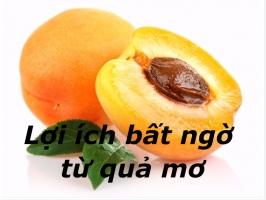 Lợi ích bất ngờ từ quả mơ có thể bạn chưa biết