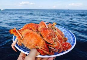 Món đặc sản độc nhất vô nhị tại Phú Quốc
