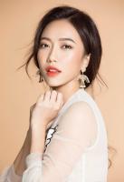 Nghệ sĩ nổi tiếng và tài năng sinh ra tại Bình Thuận