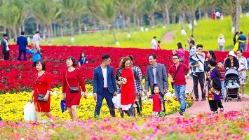 Địa điểm du lịch tuyệt vời dành cho gia đình trong dịp Tết Nguyên Đán ở Việt Nam