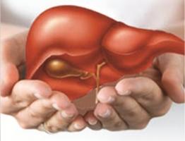 Thực phẩm ảnh hưởng nhất đến gan của bạn