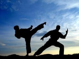 Bộ phim võ thuật Trung Quốc hay nhất 2016