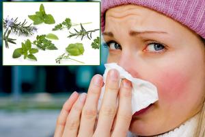 Phương pháp tự nhiên chữa dị ứng hiệu quả nhất