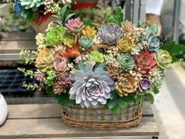 Shop bán giỏ hoa sen đá đẹp nhất tại Đà Nẵng