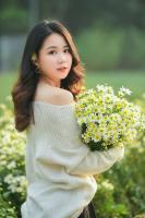 Studio chụp ảnh cúc họa mi đẹp nhất tại Hà Nội