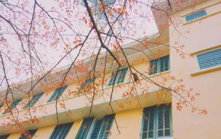 Trường tiểu học tốt nhất huyện Quốc Oai, Hà Nội