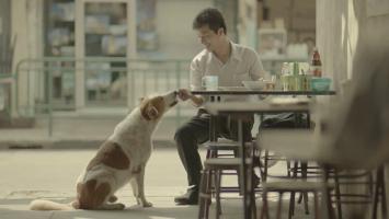 Quảng cáo thú vị nhất của Thái Lan
