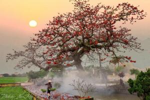 Tản văn viết về quê hương hay nhất
