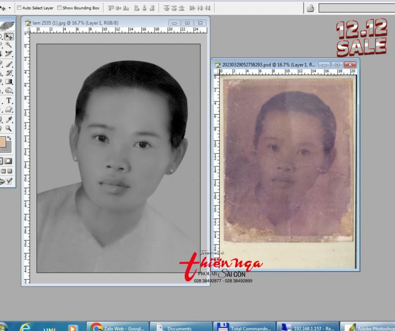 Ảnh màu Thiên Nga
