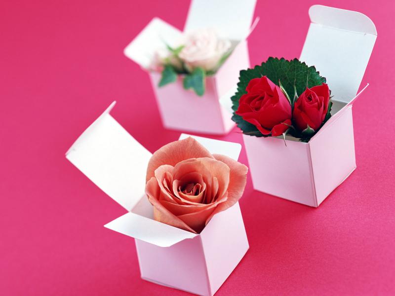 Bó hoa tặng Mẹ, niềm vui của con