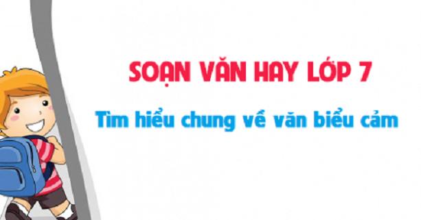 Ảnh minh họa (Nguồn internet)