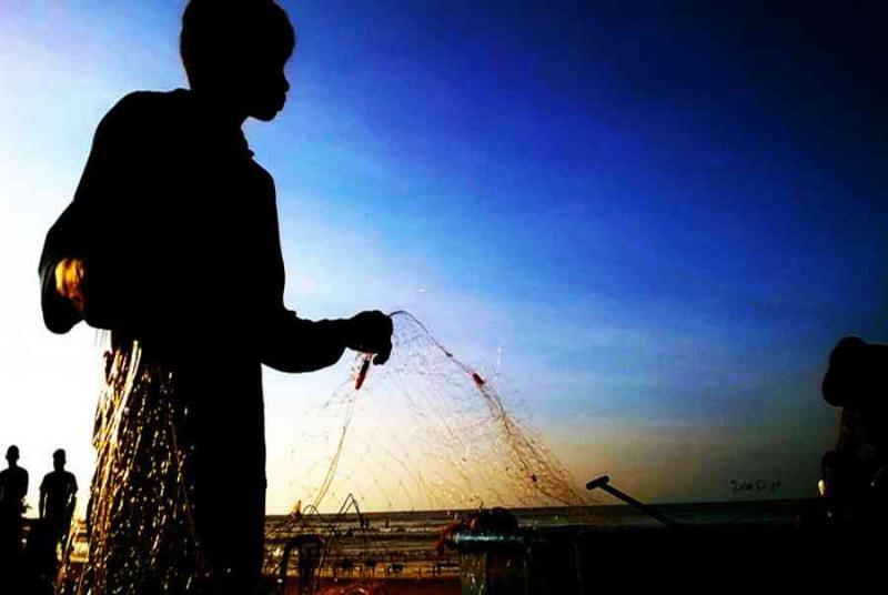 Bài tham khảo số 1