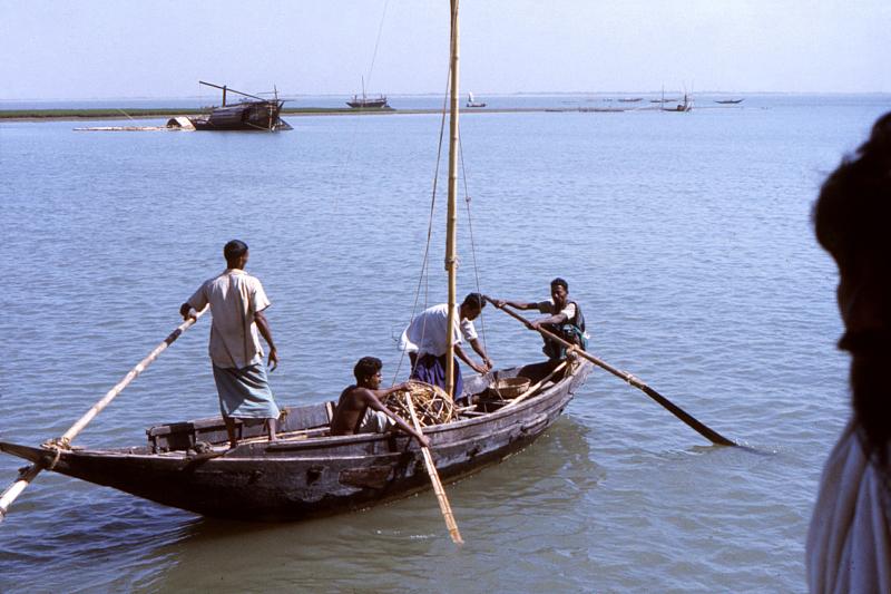 Bài tham khảo số 5