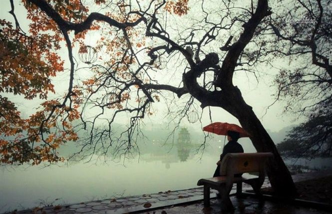 Bài hát hay nhất dành cho mùa đông