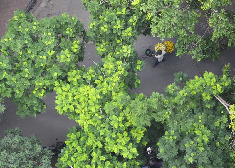 Nhớ Hà Nội