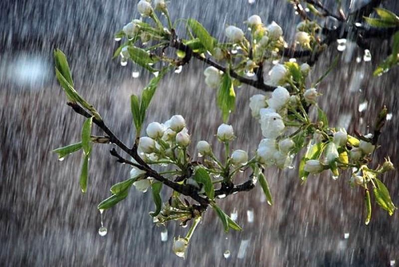 Tình yêu không nhất định phải đi cùng nhau đến cùng trời cuối đất, chỉ cần ở những giây phút hiện tại chúng ta yêu hết mình!