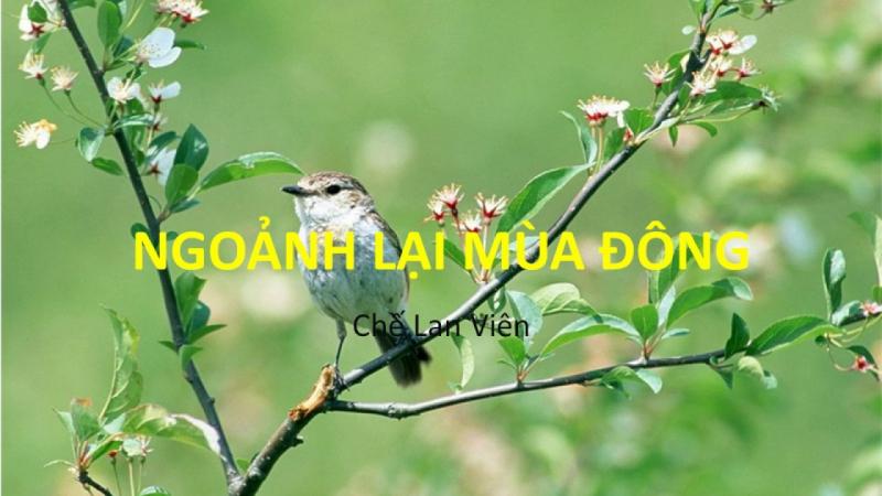 Bài thơ: Ngoảnh lại mùa đông