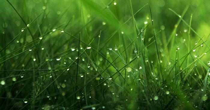 Mưa qua miền kí ức
