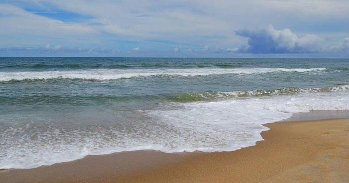 Bài tham khảo số 8